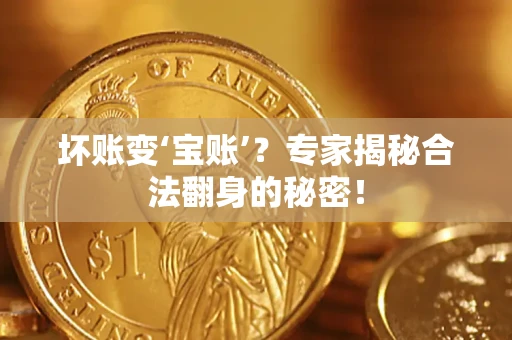 济南坏账变‘宝账’？专家揭秘合法翻身的秘密！