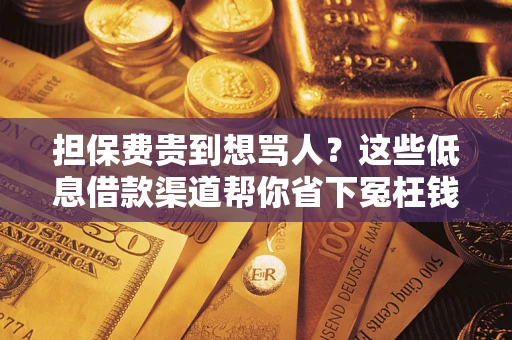 济南担保费贵到想骂人？这些低息借款渠道帮你省下冤枉钱