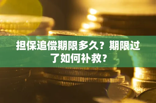 济南担保追偿期限多久？期限过了如何补救？