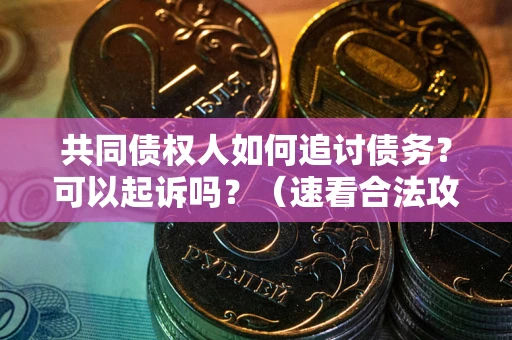 济南共同债权人如何追讨债务？可以起诉吗？（速看合法攻略）